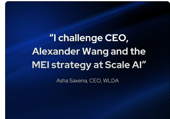 Challenging the MEI Myth: The Need for Diversity at Scale AI